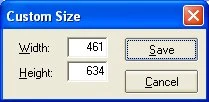 Resize Browser custom size dialog for entering specific width and height